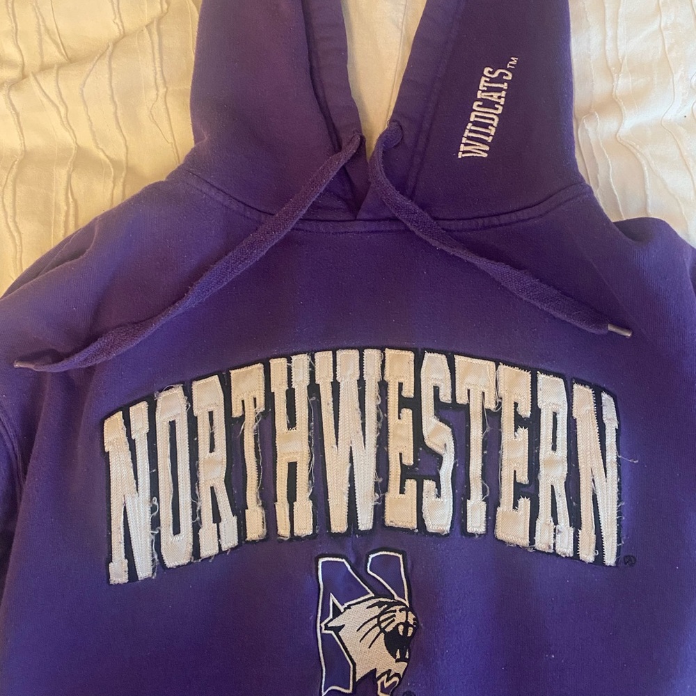 Northwestern University Wildcats hoodie 💜 size small. Vintage feel